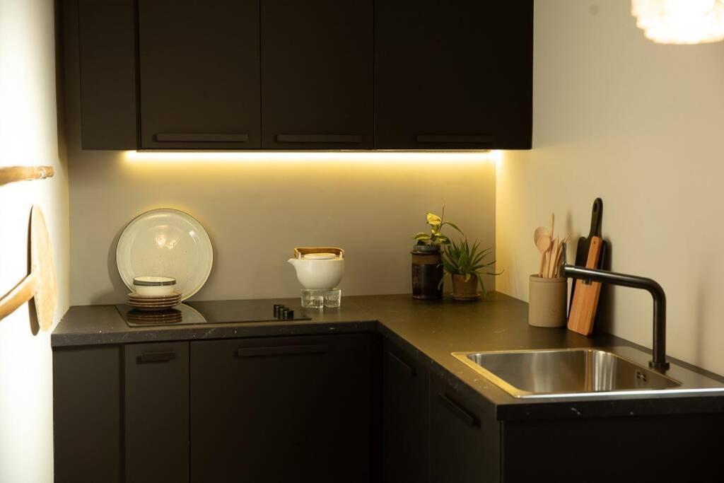 Zen Apartment - Calea Victoriei Бухарест Экстерьер фото